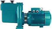 Насос для бассейна с предварительным фильтром CalpedaNMP 50/12GE